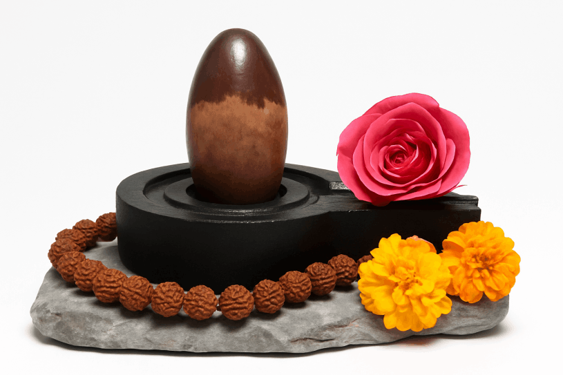 narmadeshwar shivling