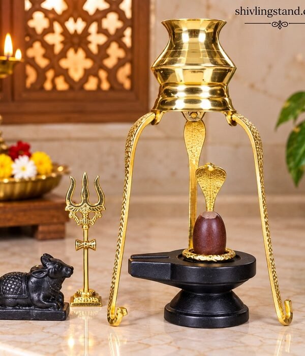 narmadeshwar shivling