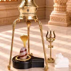 narmadeshwar shivling
