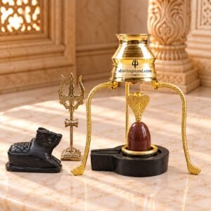 narmadeshwar shivling