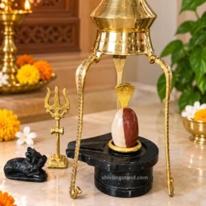 narmadeshwar shivling
