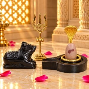 Narmadeshwar Shivling for home temple