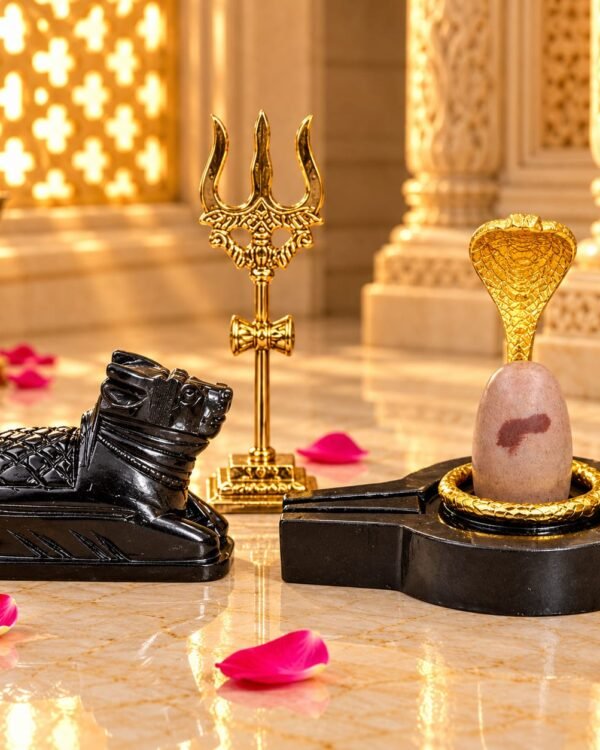 Narmadeshwar Shivling for home temple