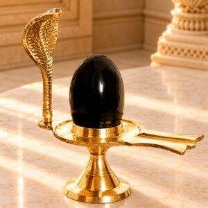 shaligram shivling